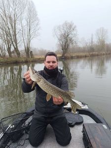 Northern Pike