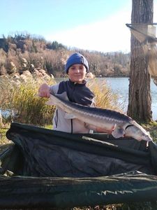 Sturgeon