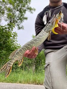 Northern Pike
