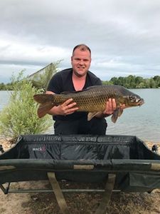 Common Carp