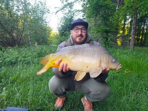 Mirror Carp