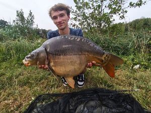 Mirror Carp