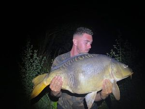 Mirror Carp