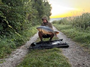 Mirror Carp