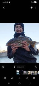 Koï Fish