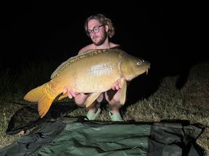 Mirror Carp