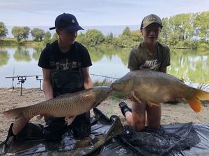 Mirror Carp