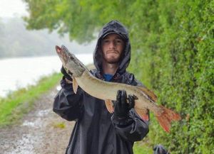 Northern Pike
