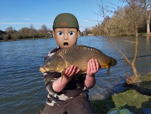 Common Carp