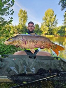 Mirror Carp