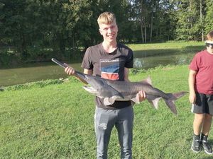 Sturgeon
