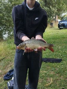Crucian Carp