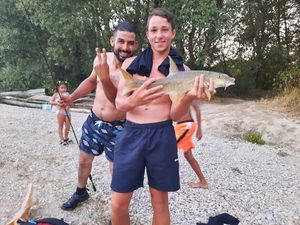 Barbel