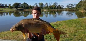Mirror Carp