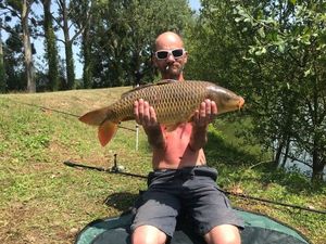Common Carp