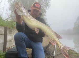 Northern Pike