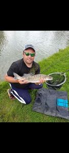 Zander