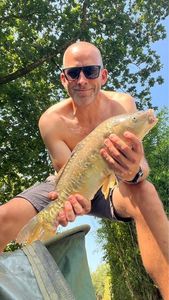 Mirror Carp