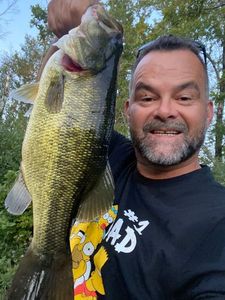 Largemouth Bass