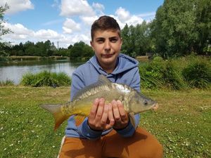Mirror Carp