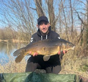 Mirror Carp