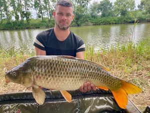Common Carp