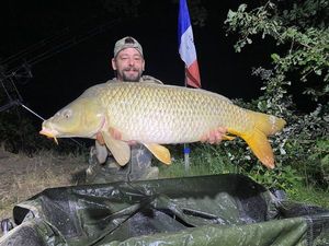 Common Carp