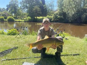 Mirror Carp