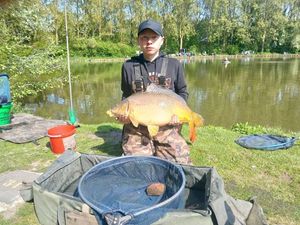 Common Carp
