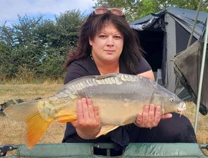 Mirror Carp
