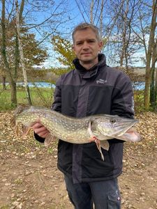 Northern Pike