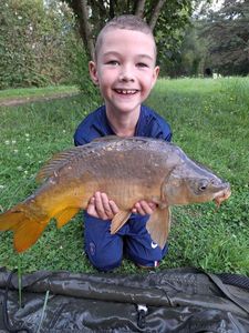 Common Carp