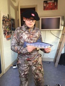 Brown Trout