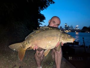 Mirror Carp