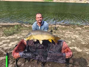 Mirror Carp
