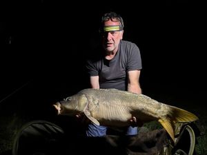 Common Carp