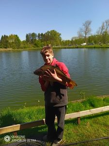 Common Carp