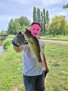 Largemouth Bass