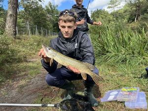 Northern Pike