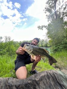 Smallmouth Bass
