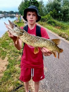 Northern Pike