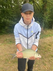 White bream