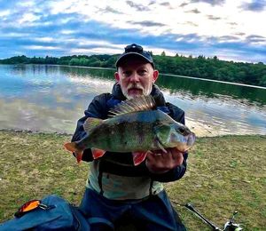 European Perch