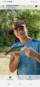 Smallmouth Bass