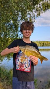 Mirror Carp