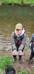 Rainbow Trout