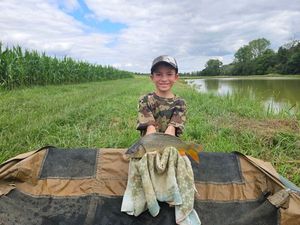 Common Carp