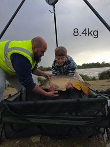 Common Carp