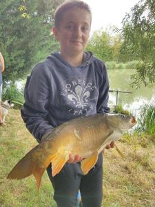 Mirror Carp