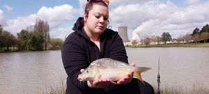 Mirror Carp